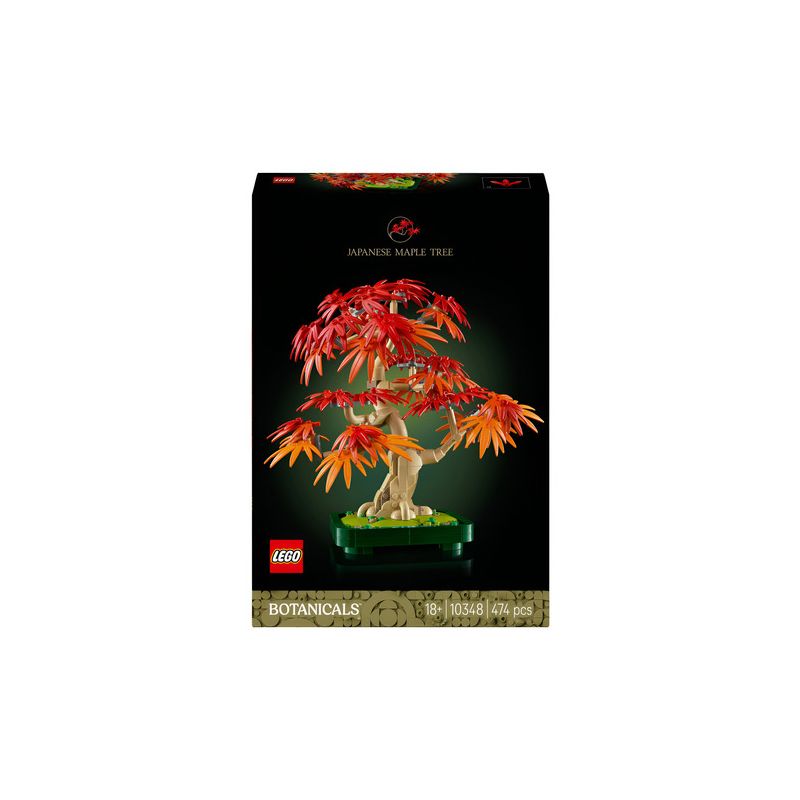 Bonsái De Arce Rojo Japonés 10348 Botanical