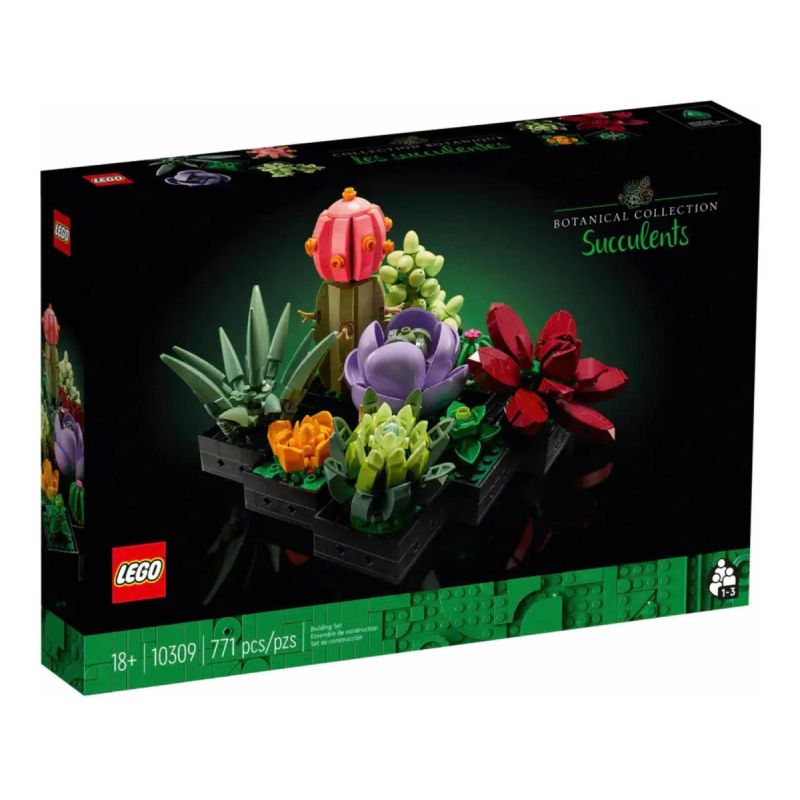 Suculentas 10309 Botanical