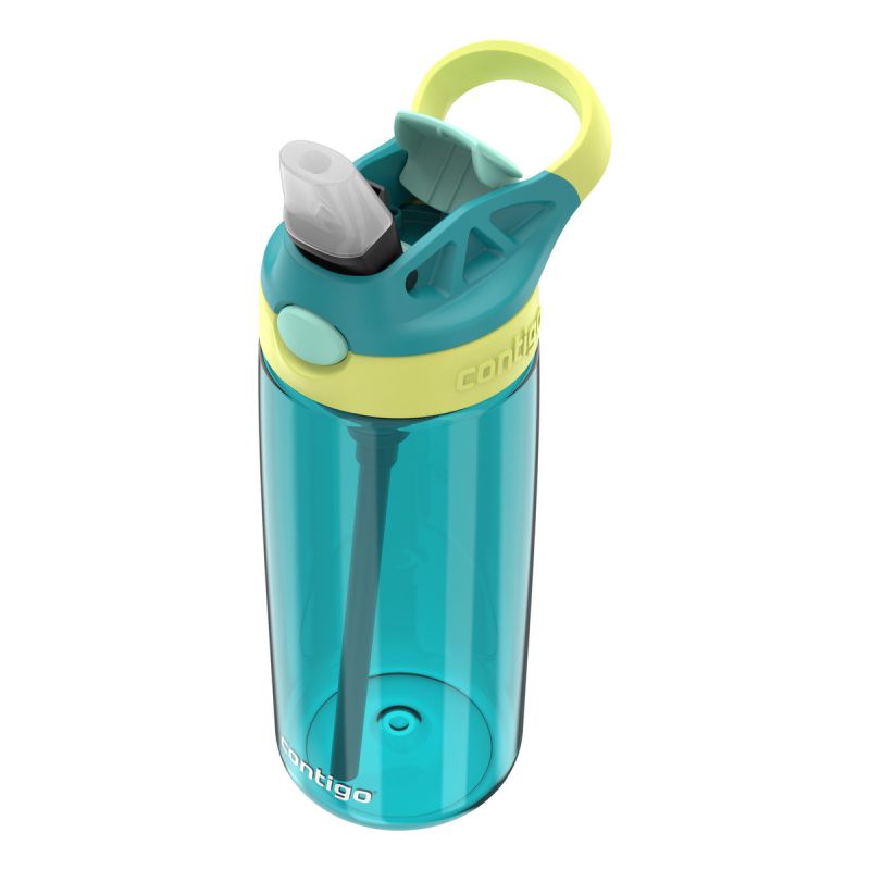 Botella Aubrey 591ml Juniper