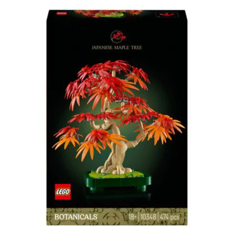 Bonsái De Arce Rojo Japonés 10348 Botanical
